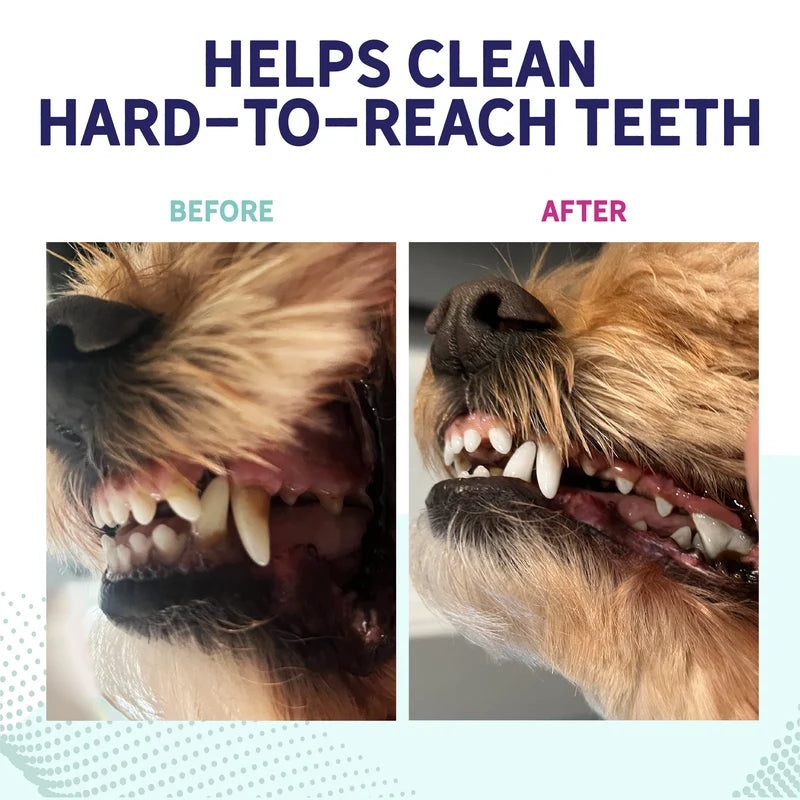 Health Extension Probiotic Dental Bones