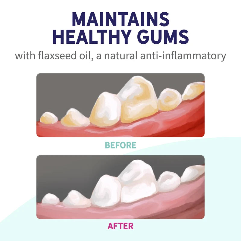 Health Extension Probiotic Dental Bones