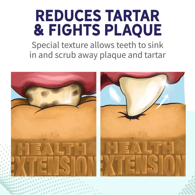 Health Extension Probiotic Dental Bones