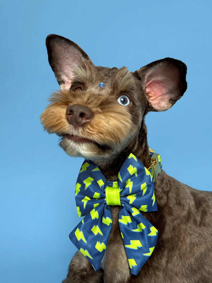 Bolt - Dog Sailor Bowtie