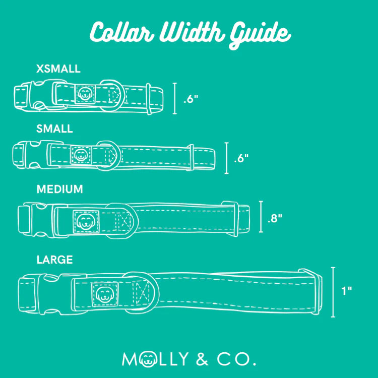 Molly & Co. Fuchsia - Adjustable Splashproof Dog Collar