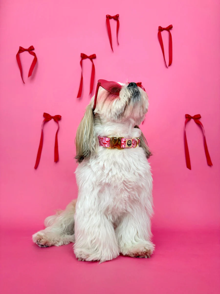 Molly & Co. Coquette - Dog Collar
