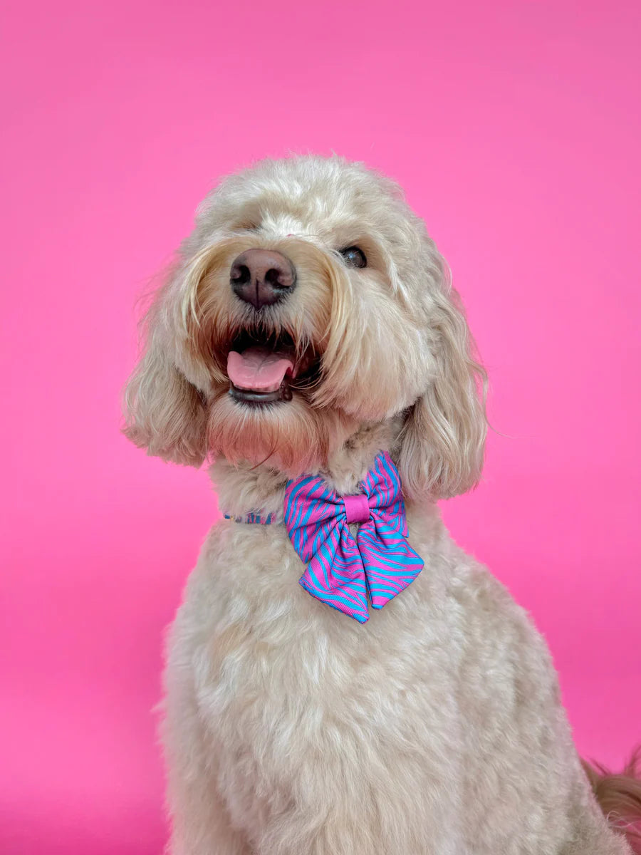 Molly & Co. Malibu Doll - Dog Sailor Bowtie