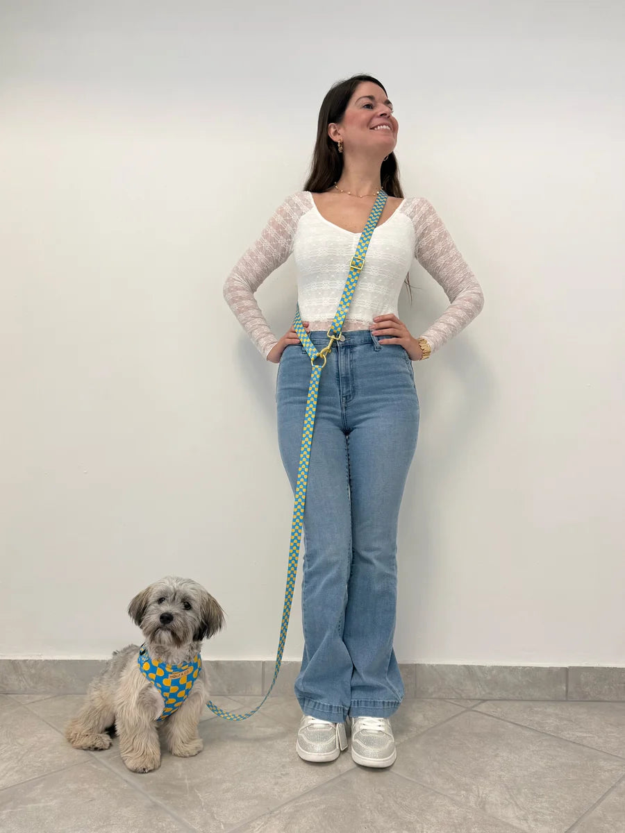 Molly and Co. Sunrise - Handsfree Dog Leash