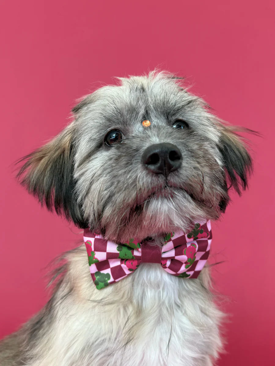 Gummy Bears - Dog Bowtie