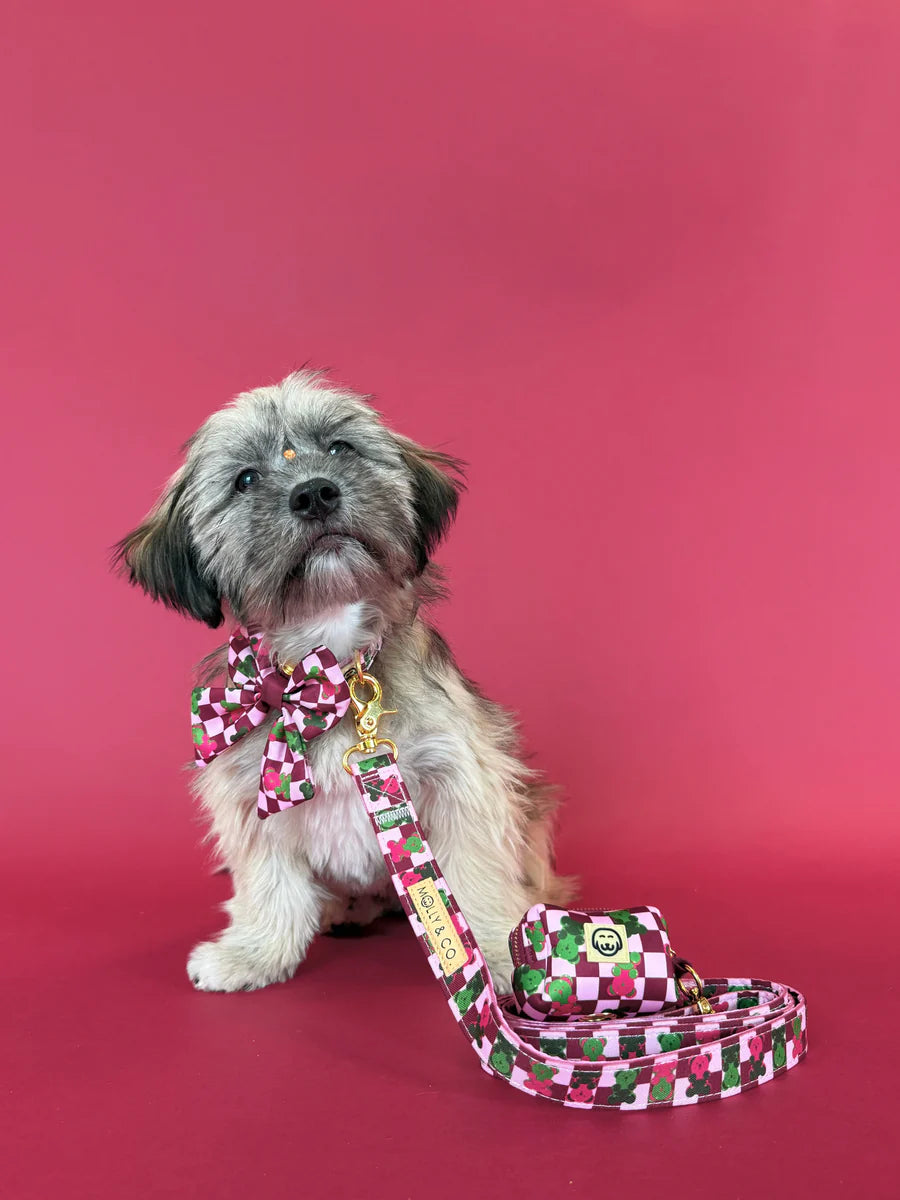 Gummy Bears - Dog Poop Bag Holder