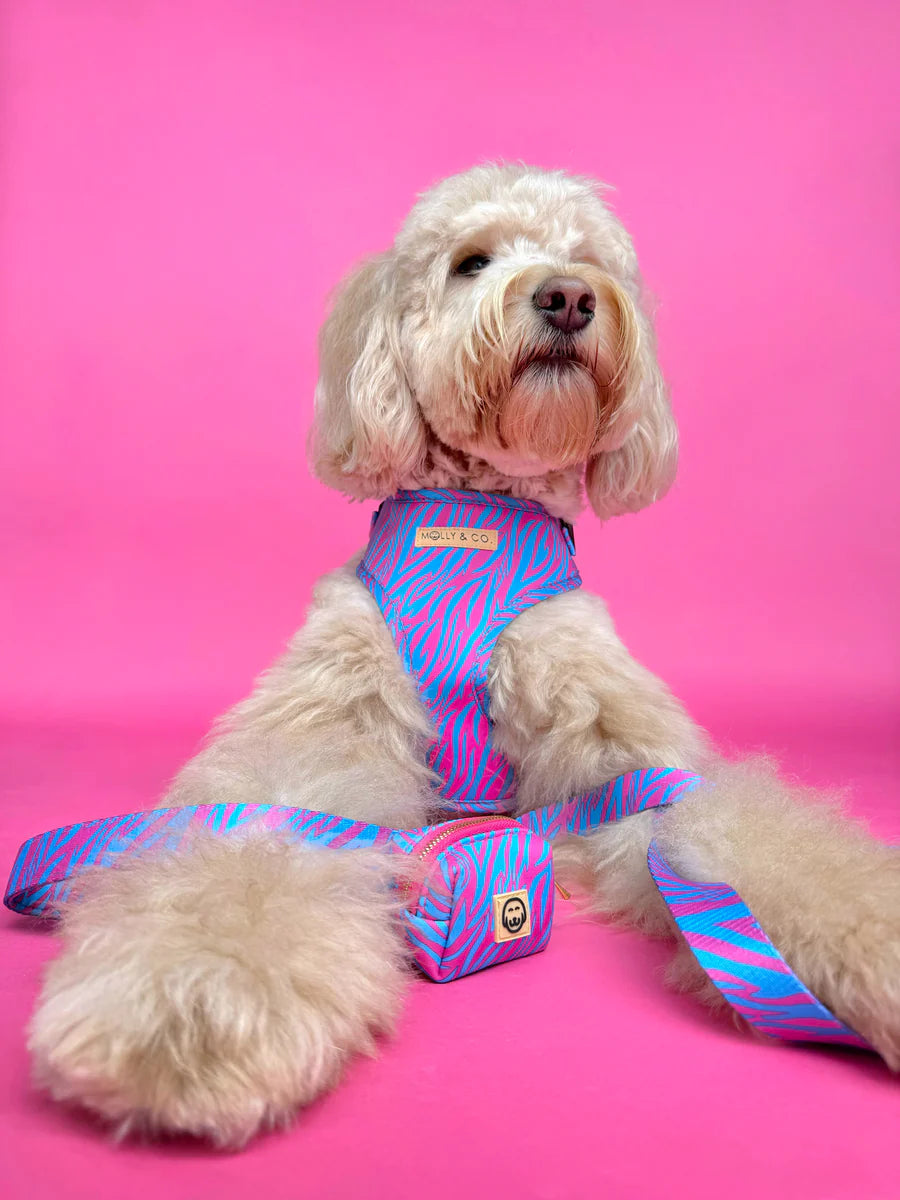Molly & Co. Malibu Doll - Dog Poop Bag Holder