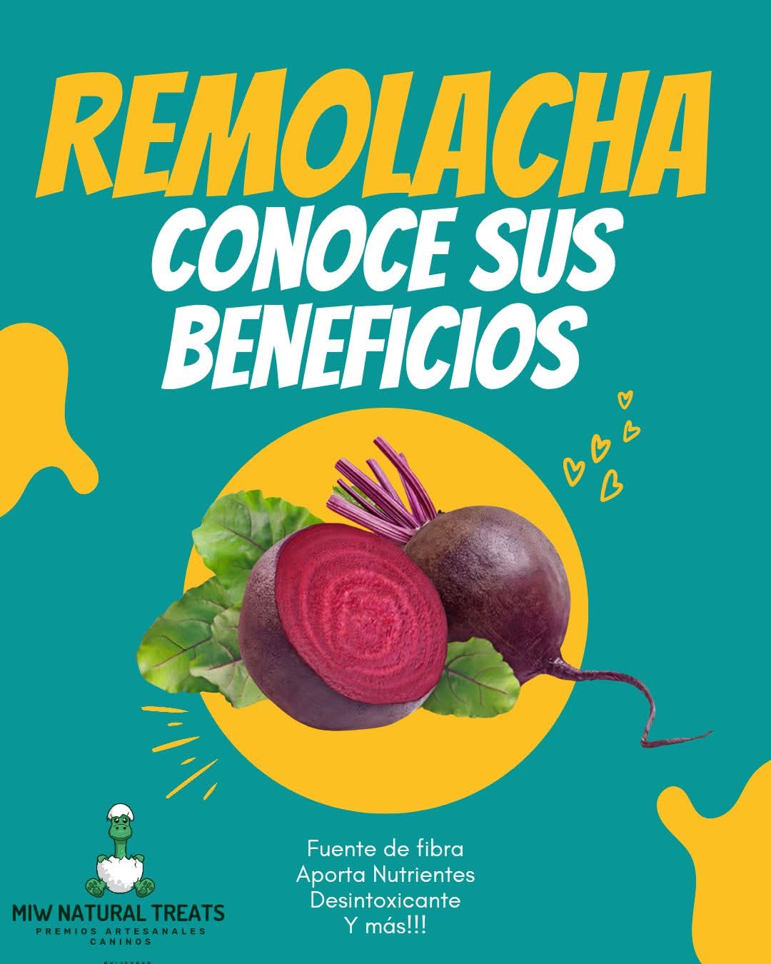 Salmon Flowers Bites 3.2 onz Natural Treats