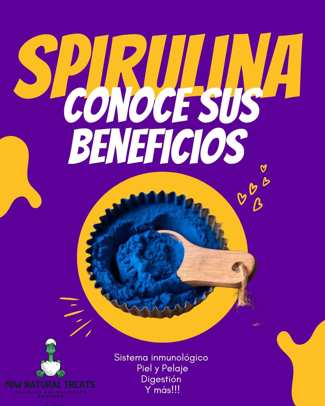 Salmon Flowers Bites 3.2 onz Natural Treats