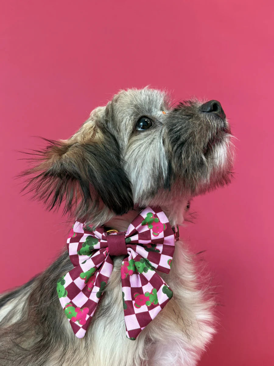 Gummy Bears - Dog Sailor Bowtie