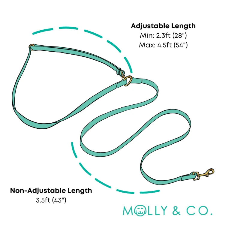 Molly and Co. Seaside - Splashproof Handsfree Dog Leash