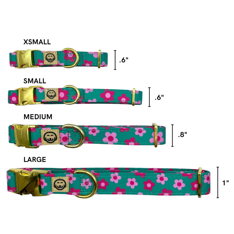 Molly & Co. Petunia - Dog Collar