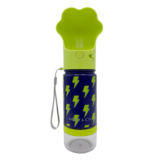 Molly & Co. Bolt - Stainless Steel Water Bottle