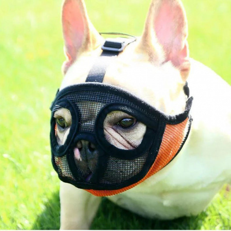 French Bulldog Muzzle Short-nosed