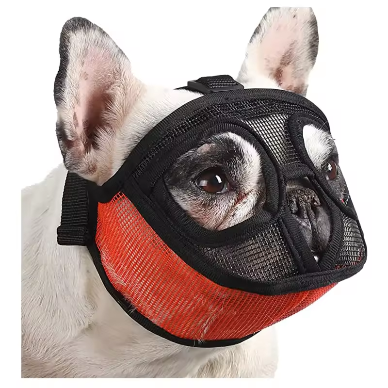 French Bulldog Muzzle Short-nosed