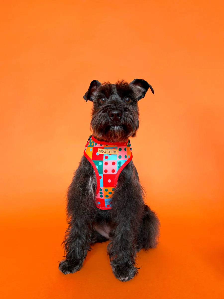 Molly & Co. Doble Seis - Adjustable Dog Harness