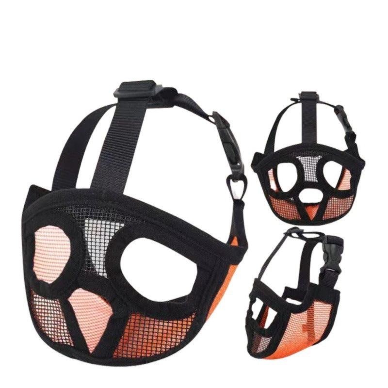 French Bulldog Muzzle Short-nosed