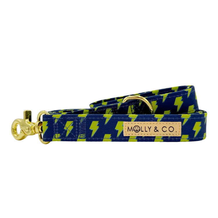 Molly & Co. Bolt- Dog Leash
