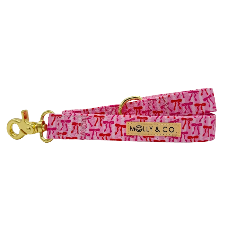 Molly & Co. Coquette- Leash