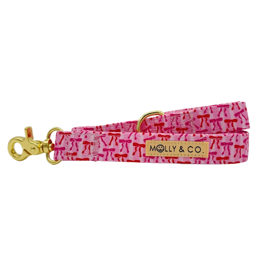 Molly & Co. Coquette- Leash