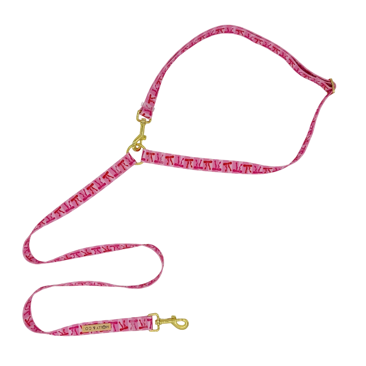 Molly & Co. Coquette - Handsfree Dog Leash
