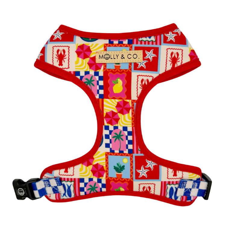 Molly & Co. Amalfi - Adjustable Dog Harness
