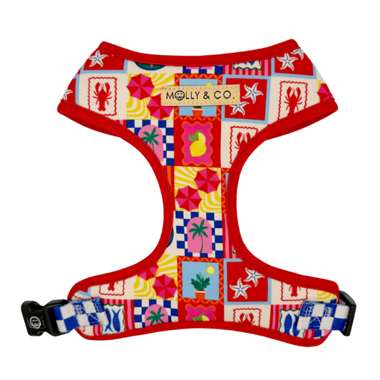 Molly & Co. Amalfi - Adjustable Dog Harness
