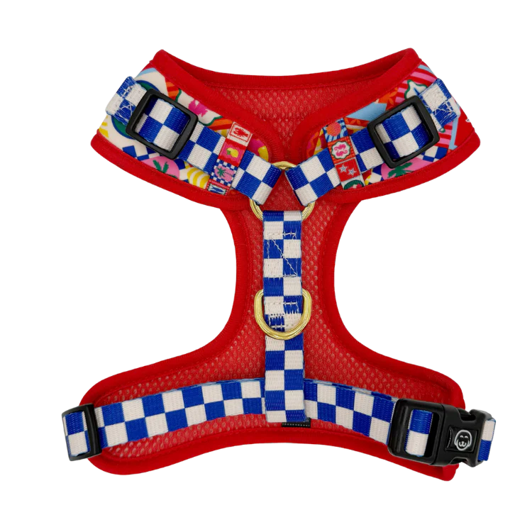 Molly & Co. Amalfi - Adjustable Dog Harness