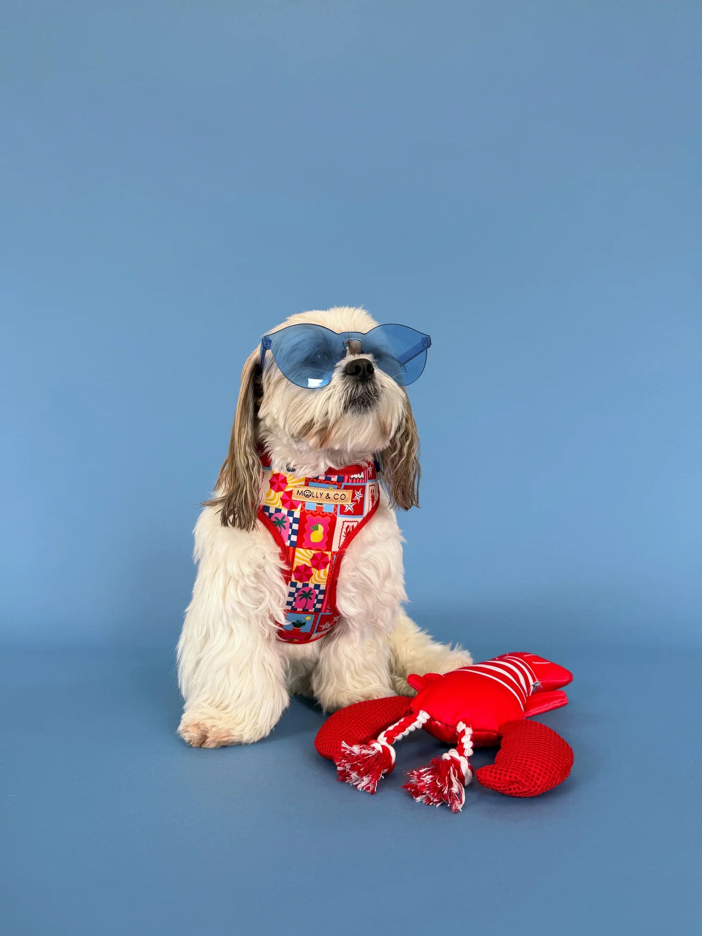 Molly & Co. Amalfi - Adjustable Dog Harness