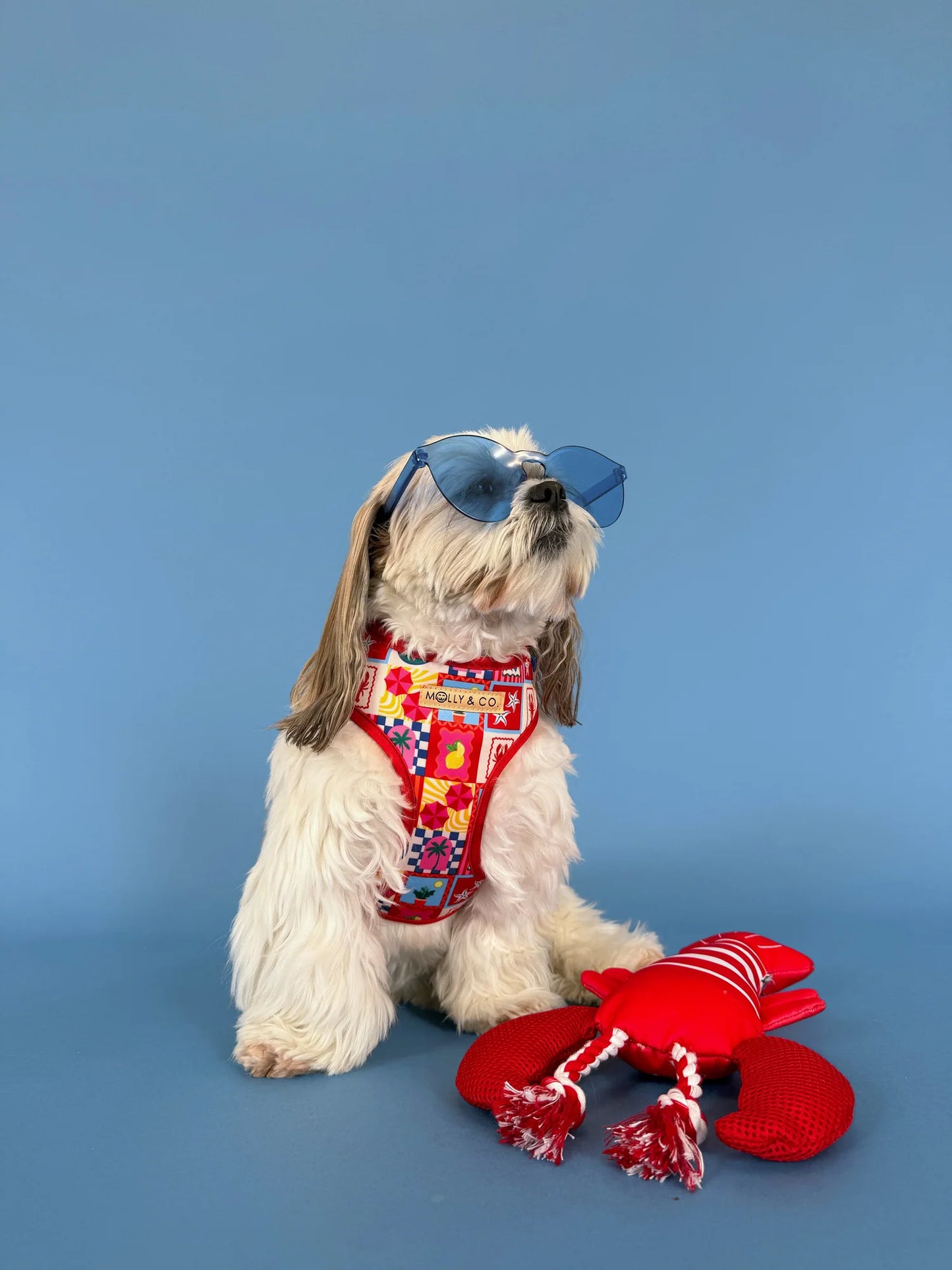 Molly & Co. Amalfi - Adjustable Dog Harness