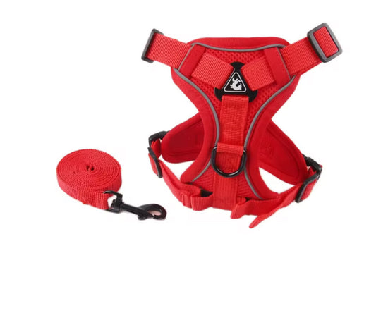 Harness and Leash Set for Dog or Cat