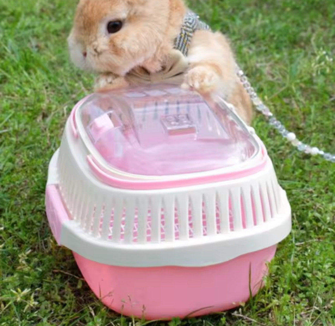 Rodents Kennels