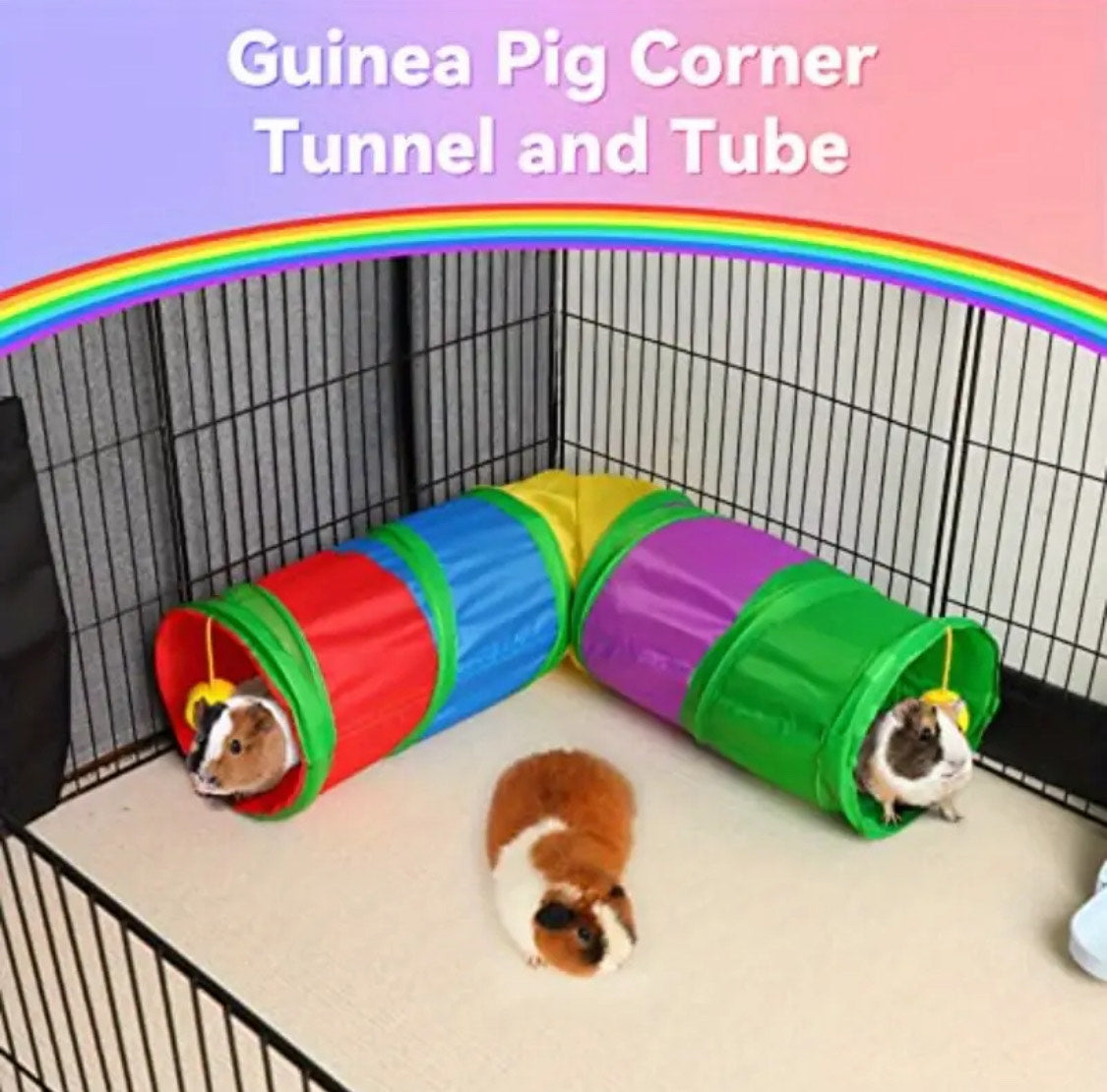 Tunel para Roedores