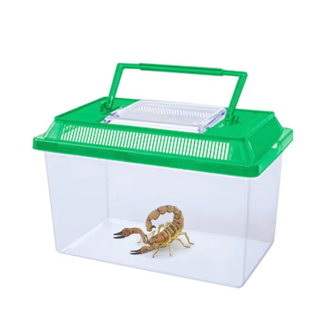 Plastic Tank Pet Family