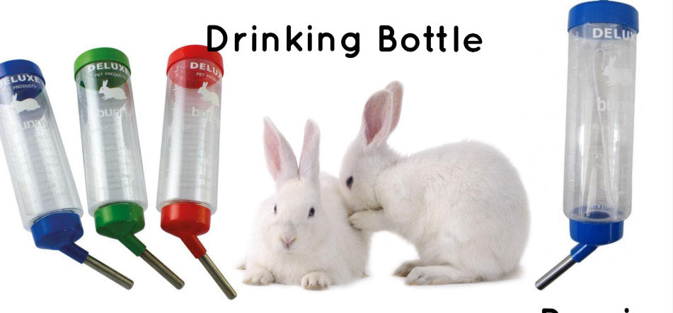 Rabbit Drinking Bottle 800ml