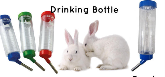 Rabbit Drinking Bottle 800ml