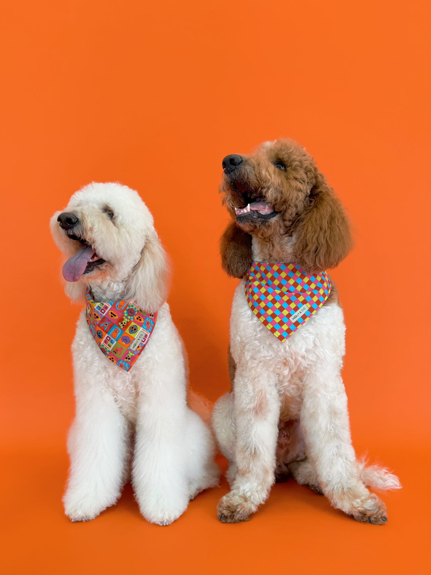 Molly & Co. Mosaic-Dog Bandana