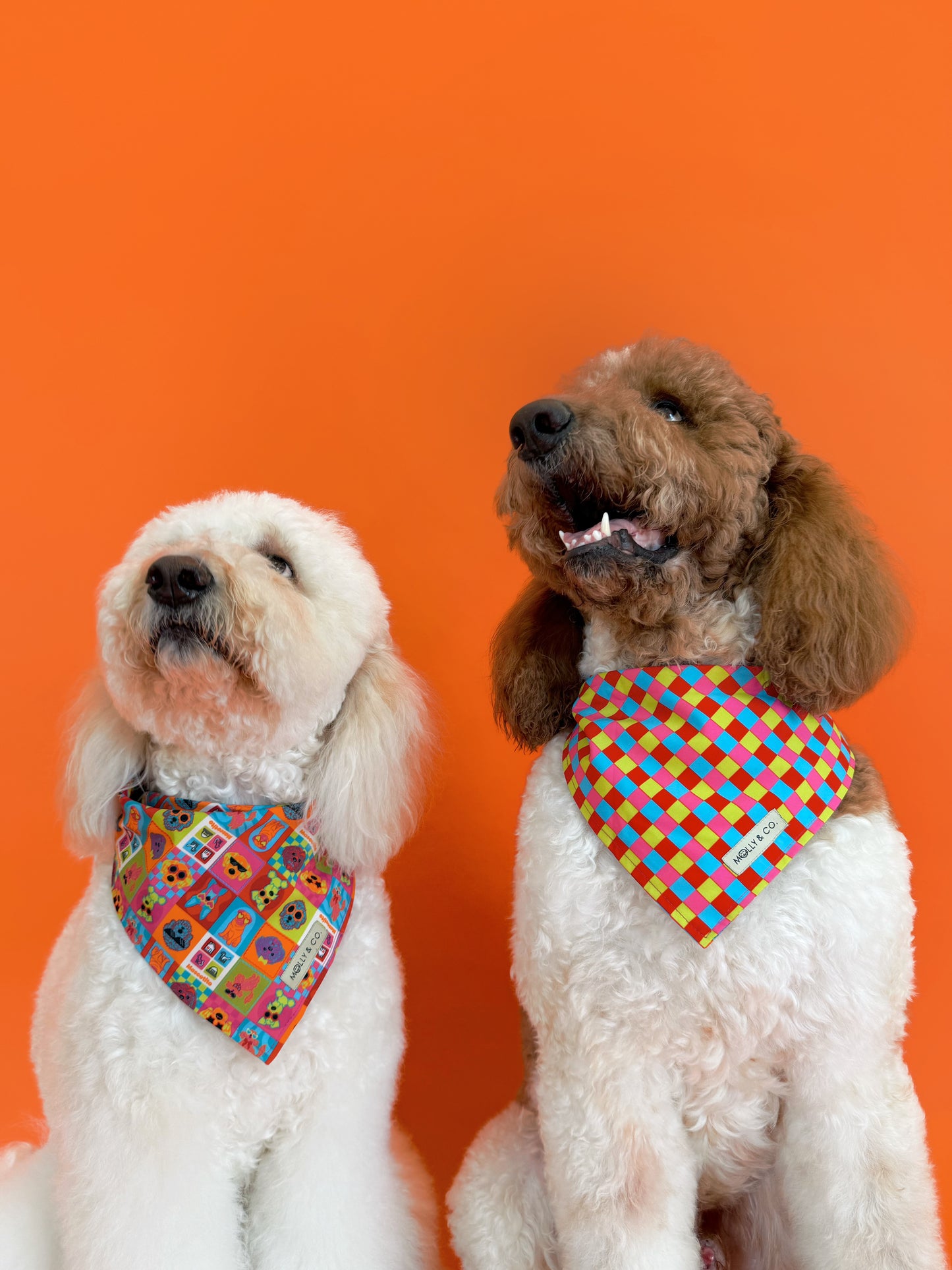 Molly & Co. Mosaic-Dog Bandana