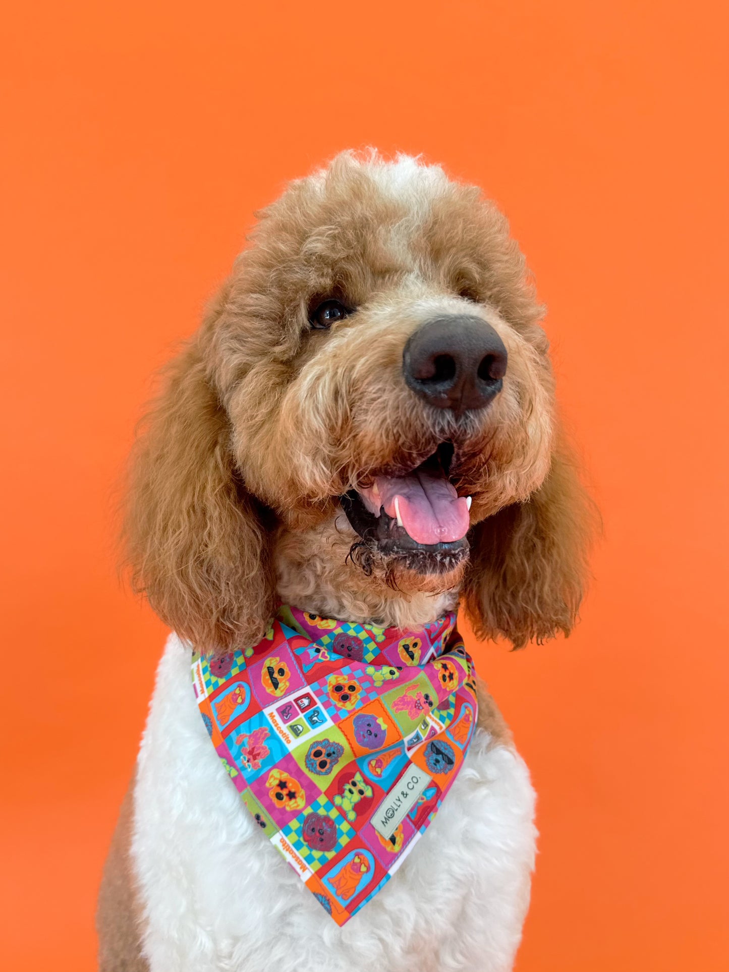 Molly & Co. Mosaic-Dog Bandana