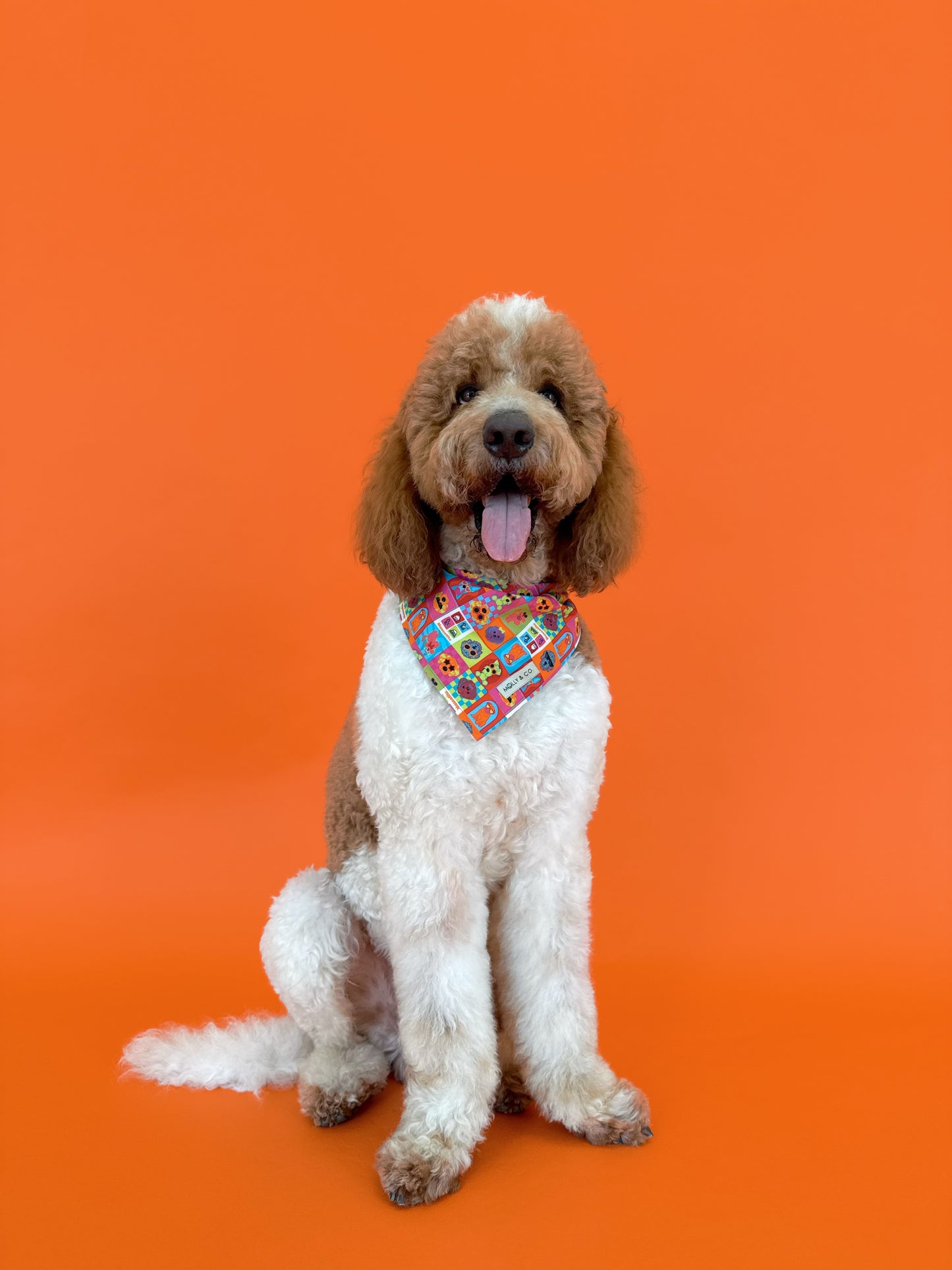 Molly & Co. Mosaic-Dog Bandana