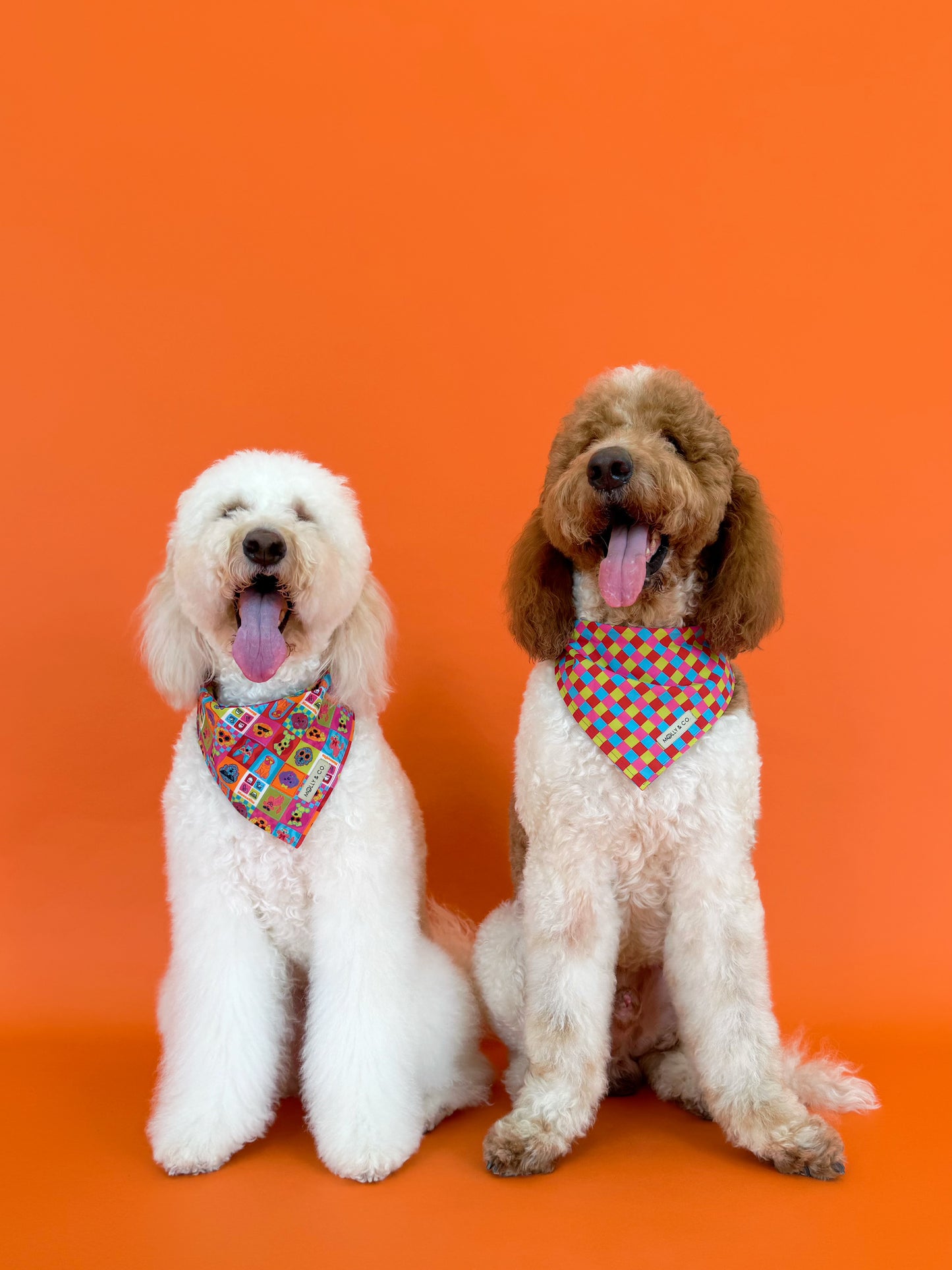 Molly & Co. Mosaic-Dog Bandana