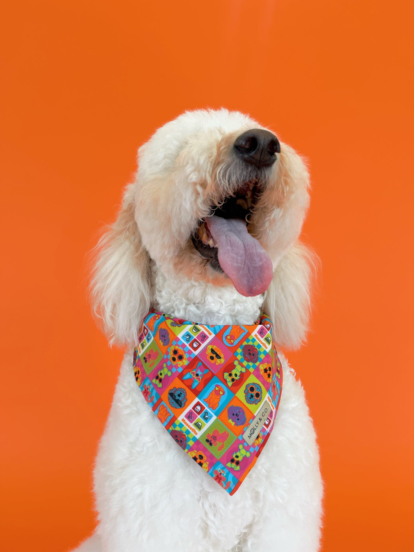 Molly & Co. Mosaic-Dog Bandana