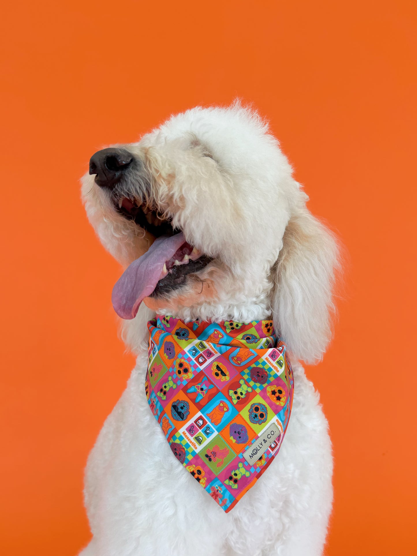 Molly & Co. Mosaic-Dog Bandana