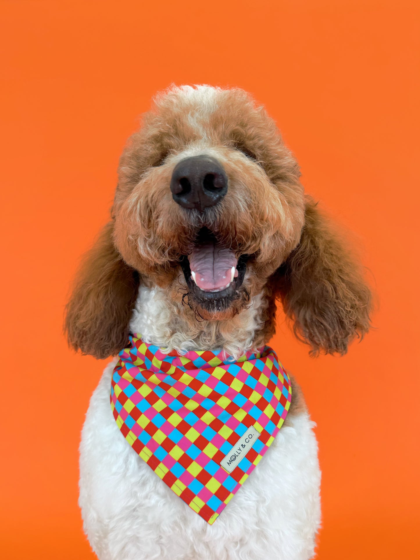 Molly & Co. Mosaic-Dog Bandana