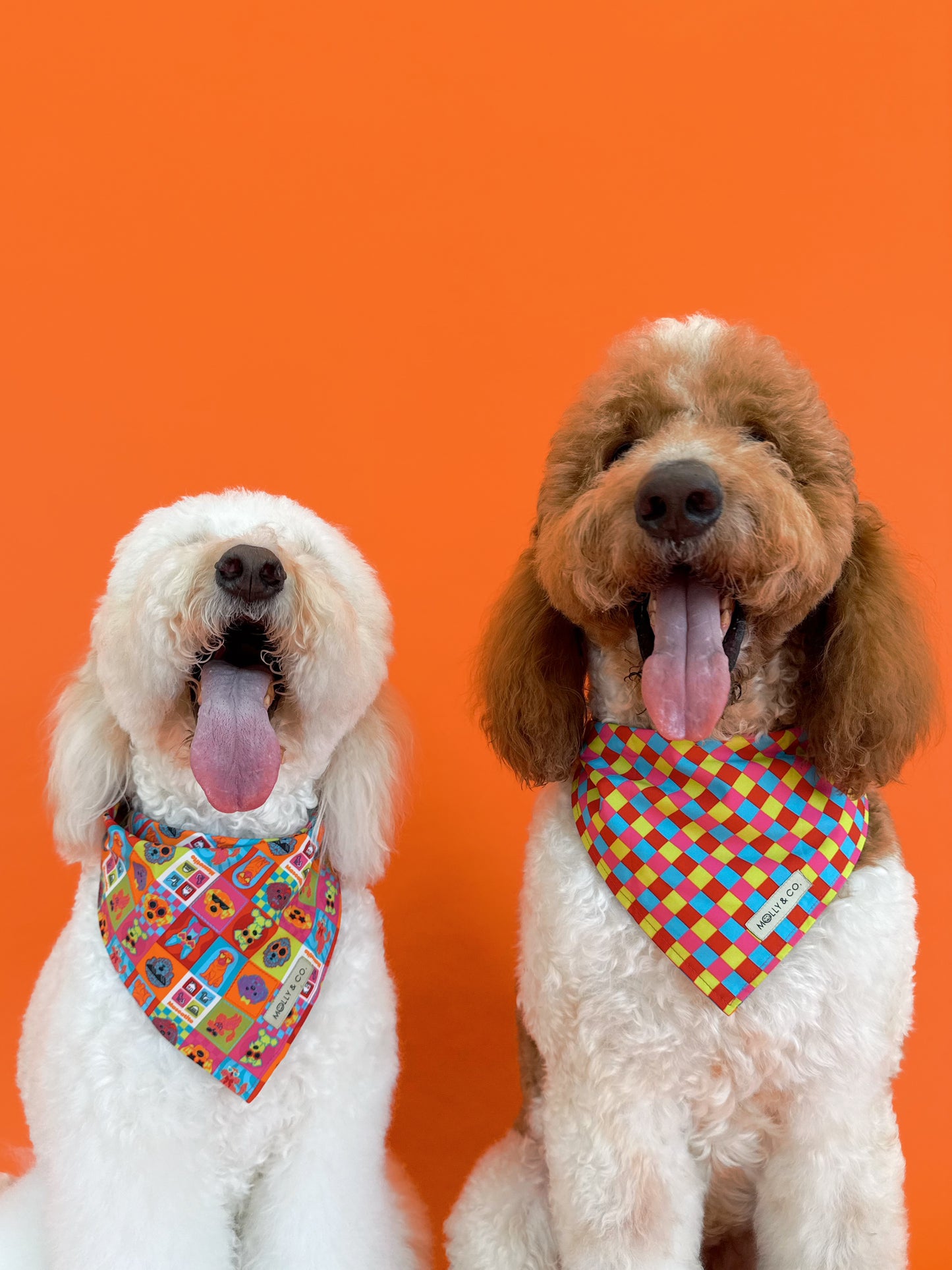 Molly & Co. Mosaic-Dog Bandana