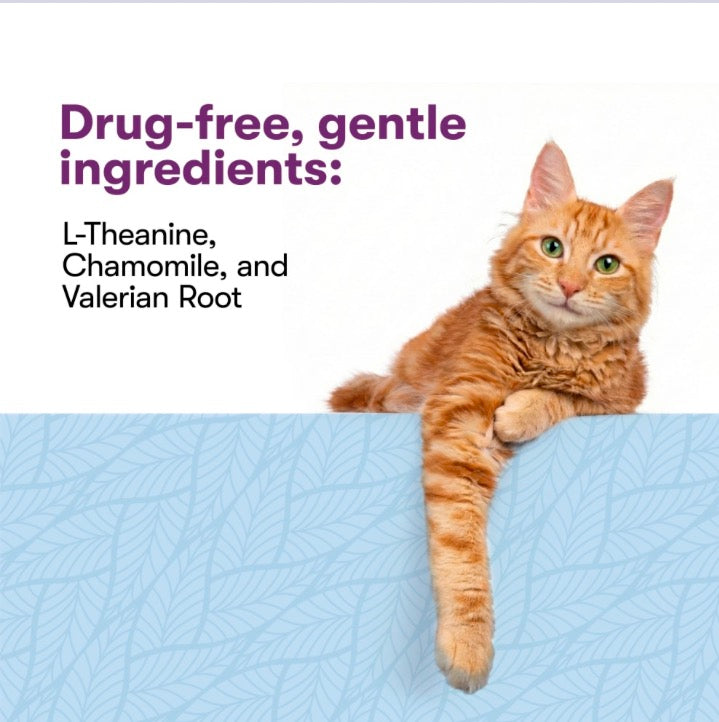 CAT CALMING MOUSSE; LICKABLE CAT CALMING SUPPLEMENT 12 count