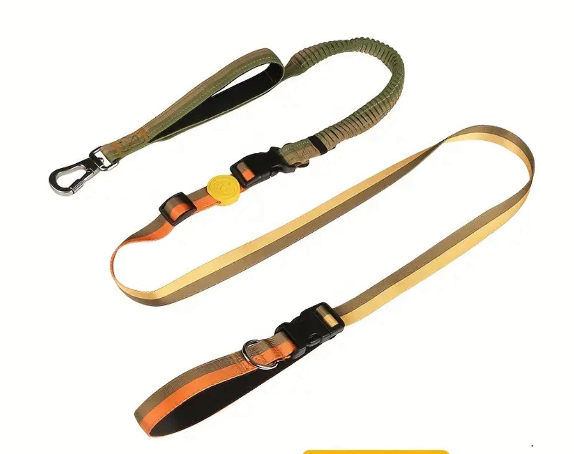 Retractable Leash 6 en 1 Plus