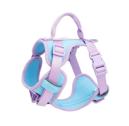 Female Chic Harness for dogs