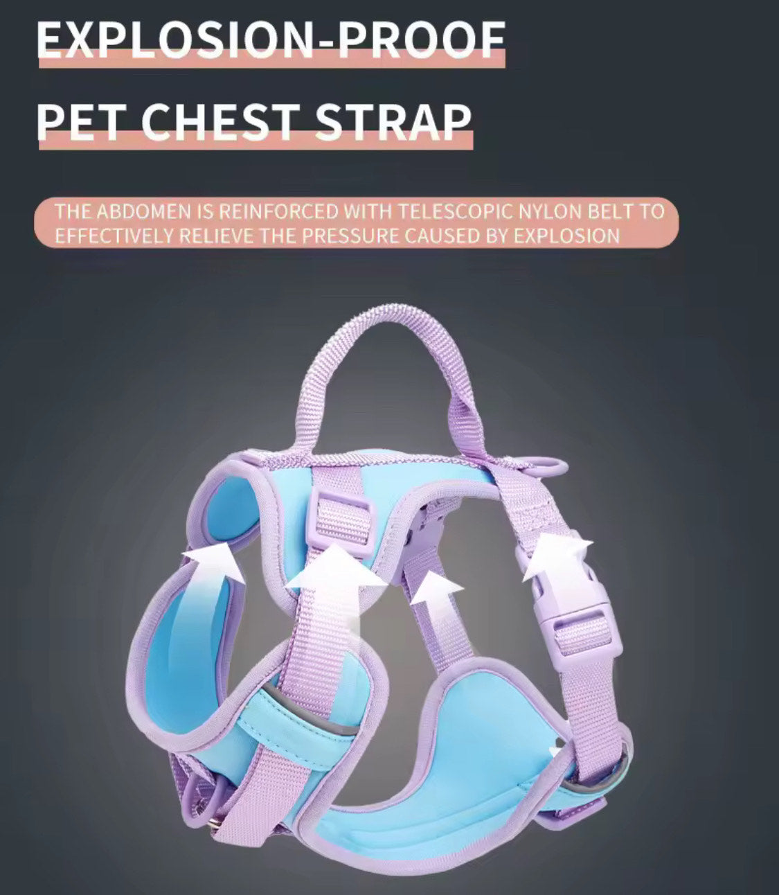 Female Chic Harness for dogs