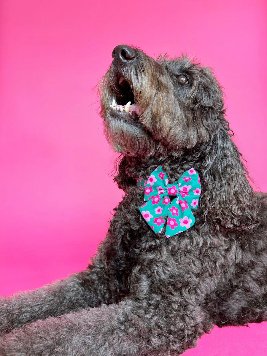 Molly & Co. Petunia - Dog Sailor Bowtie